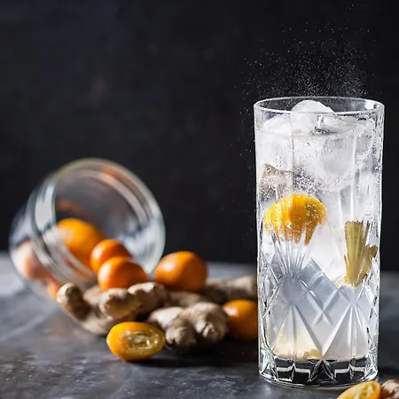 فندق Le Meridien Arc De Triomphe باريس